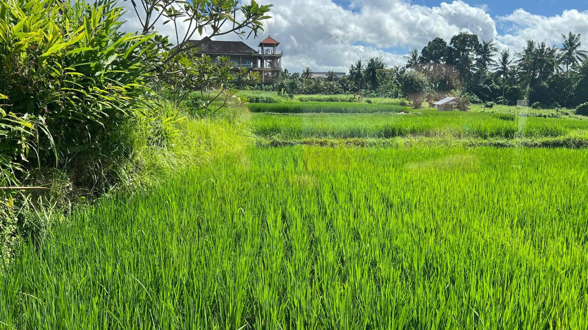 Villa Karma Ubud Kültér fotó